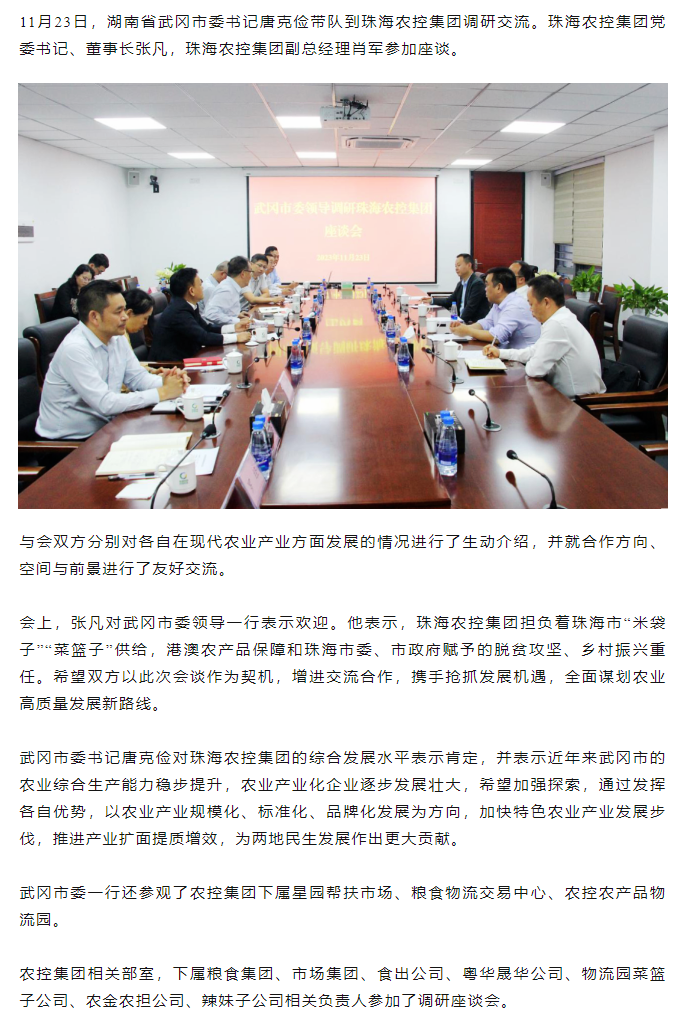 武冈市委一行到天空网页版页面登录_天空（中国）集团调研座谈.png
