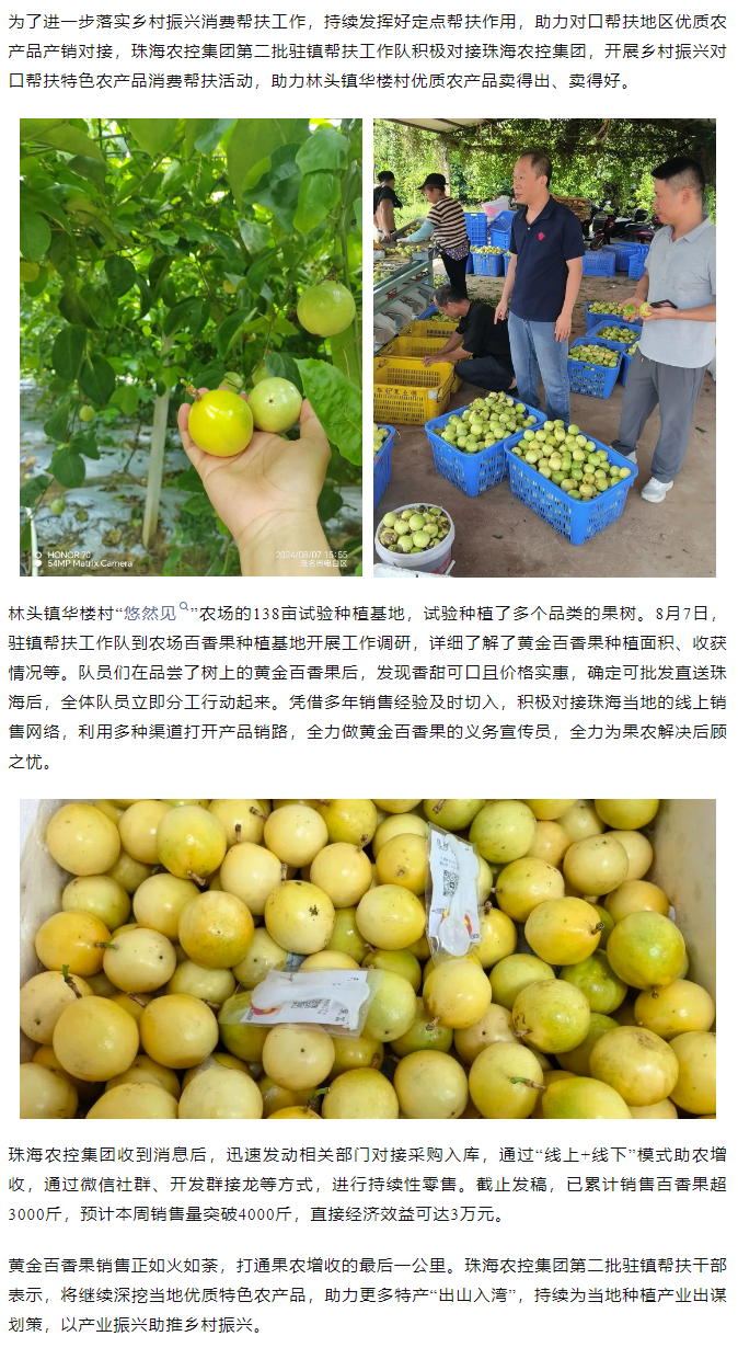 天空网页版页面登录_天空（中国）集团助力产销对接 对口帮扶果香飘百里.png